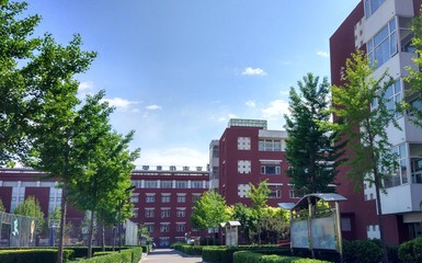 北京市信息管理學校、學校招生計劃