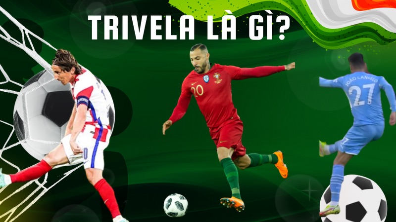 Hieu dung ve trivela